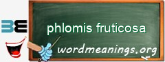 WordMeaning blackboard for phlomis fruticosa